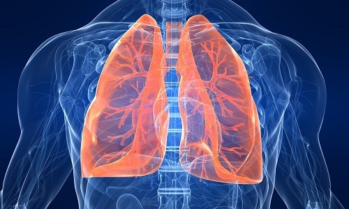 Гипервентиляция легких – что это такое в дайвинге